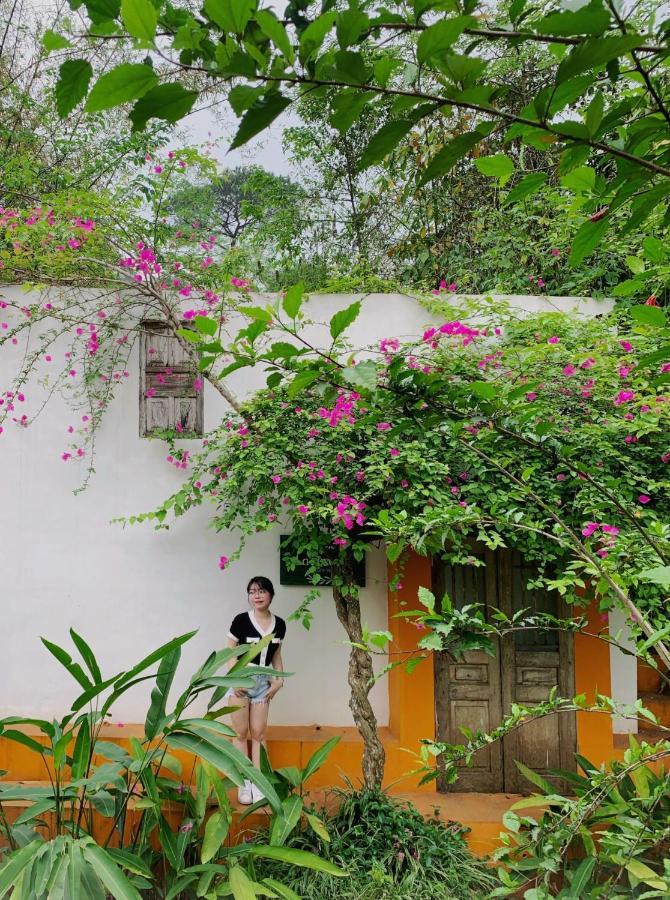 Rose Villas & Resort - Ba VI Hanoi Dış mekan fotoğraf